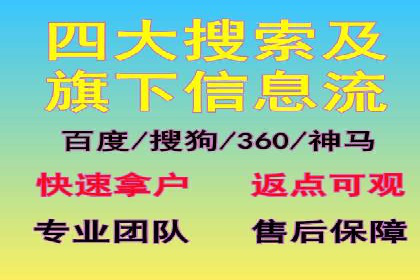 搜索引擎营销（SEM）成功运营的五大案例
